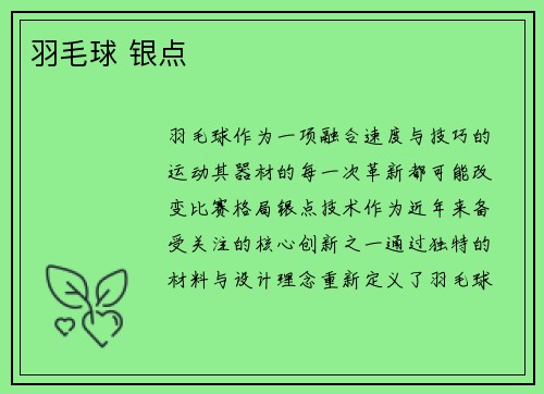 羽毛球 银点